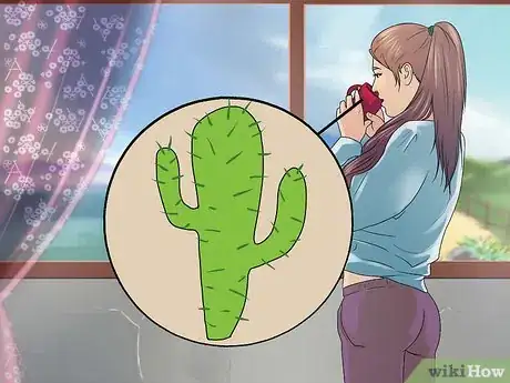 Image titled Drink Cactus Water for Health Step 4