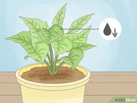 Image titled Revive a Plant Step 1