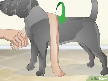 Image titled Wrap a Dog’s Shoulder Step 3