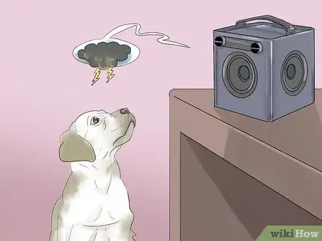 Image titled Calm a Dog During Thunderstorms Step 10