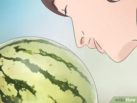 Image titled Tell when a Watermelon Is Ripe and Ready for Picking Step 7