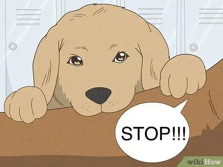 Image titled Train a Puppy Not to Bite Step 2