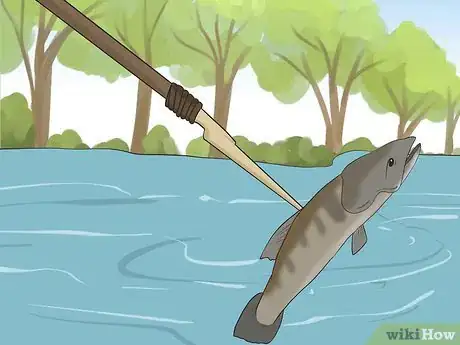 Image titled Catch Fish Without Using a Rod Step 13.jpeg