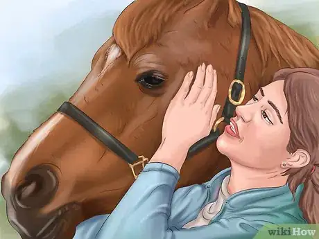 Image titled Get Your Horse to Trust and Respect You Step 4