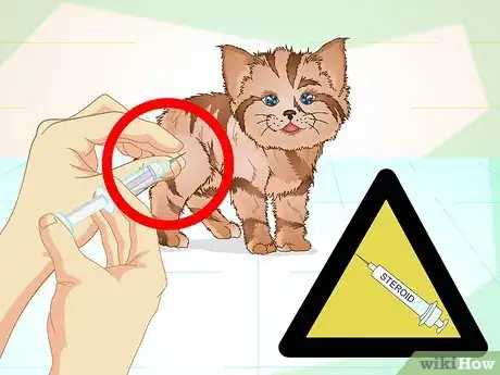 Image titled Get a Sick Kitten to Eat Step 23