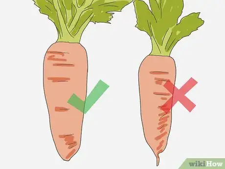 Image titled Select Carrots Step 1