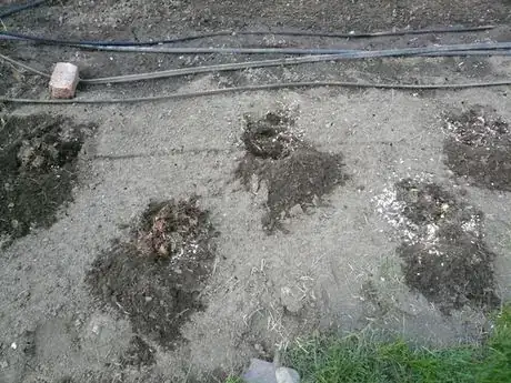 Image titled Compost in holes.