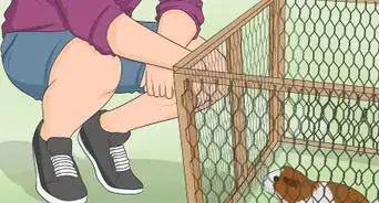 Make a Guinea Pig Run