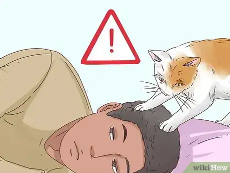 Image titled Get Your Cat to Sleep With You Step 8