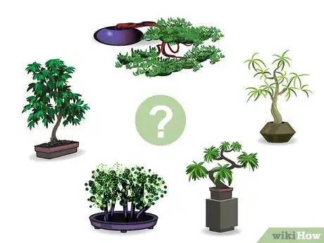 Image titled Start a Bonsai Tree Step 01