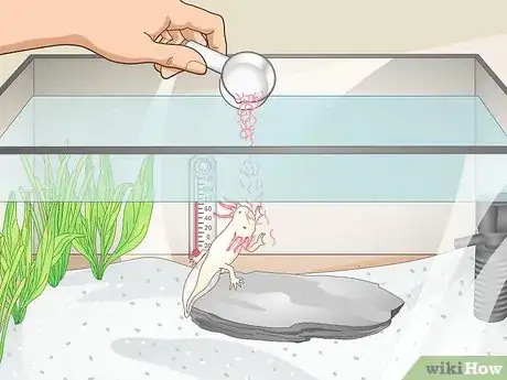 Image titled Set Up an Axolotl Tank Step 11