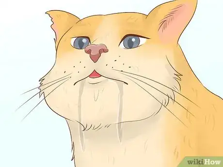 Image titled Remove a Hook from a Cat's Mouth Step 10