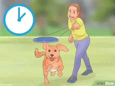 Image titled Know if Your Dog Likes You the Best Step 9