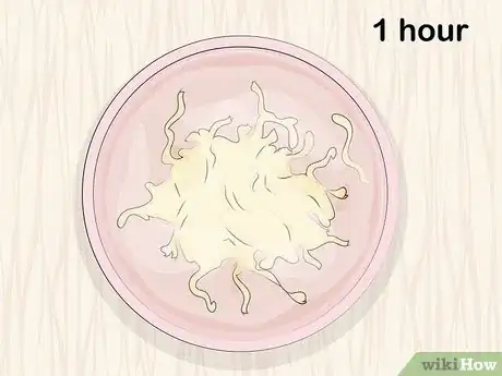 Image titled Cook Jellyfish Step 1