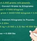 Convert Metric Weight to Pounds