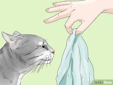 Image titled Change Your Cat's Routine Step 5