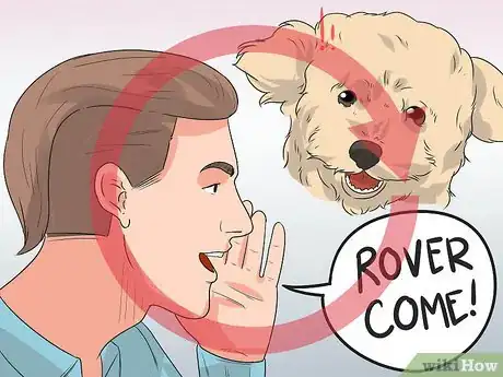 Image titled Train Your Dog to Not Run Away Step 6