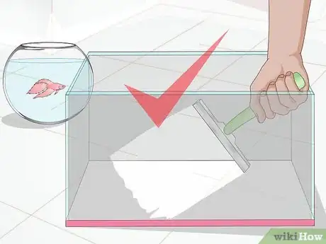 Image titled Set Up a Betta Tank Step 17