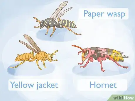 Image titled Get Rid of a Wasp's Nest Step 5