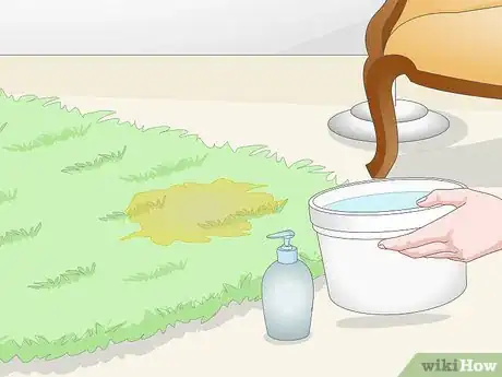 Image titled Find Cat Urine With a UV Light Step 7