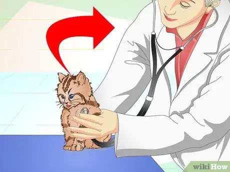 Image titled Get a Sick Kitten to Eat Step 12