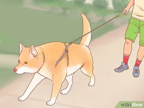 Image titled Be Nice to Your Pets Step 12