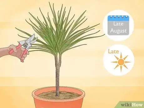 Image titled Prune Dracaena Step 2