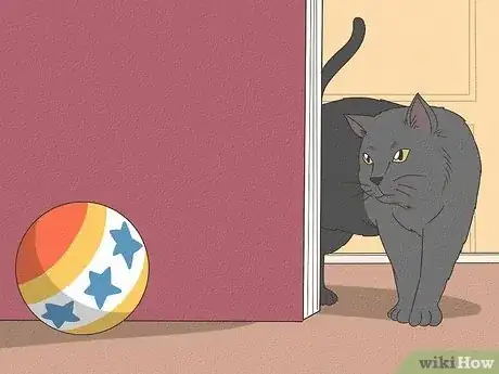 Image titled Test Your Cat's Intelligence Step 1