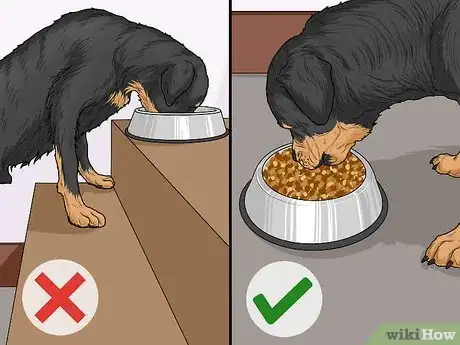 Image titled Prevent Bloating in Dogs Step 4