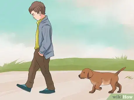 Image titled Train Your Dog to Not Run Away Step 5