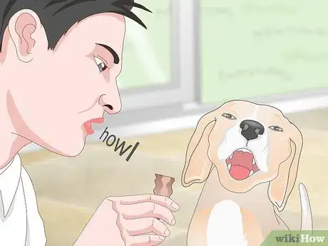 Image titled Teach Your Dog to Howl Step 6