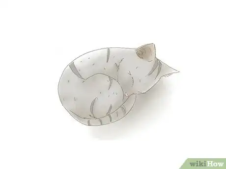 Image titled Draw a Kitten Step 17