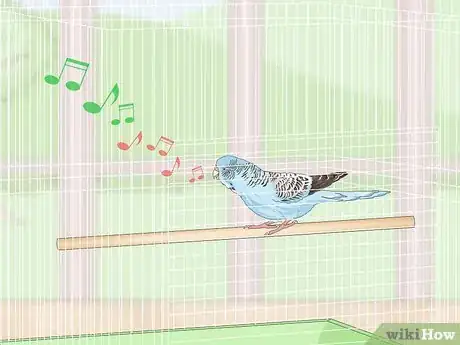 Image titled See if Your Pet Budgie Is Sick Step 2