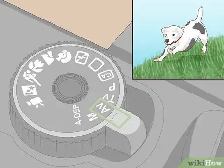 Image titled Take Great Photos of Your Dog Step 10