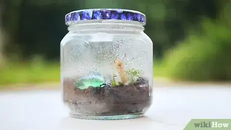 Image titled Make a Bug Terrarium Step 10