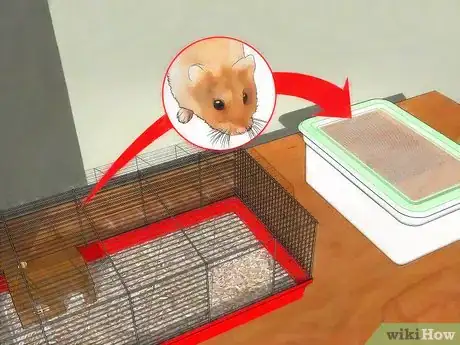 Image titled Get Rid of Mites in Your Hamster's Cage Step 3