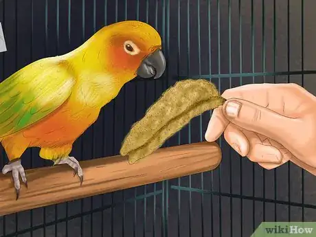 Image titled Care for a Conure Step 16