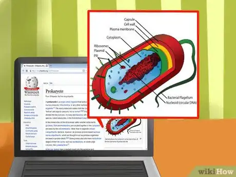 Image titled Tell the Difference Between Prokaryotes and Eukaryotes Step 7