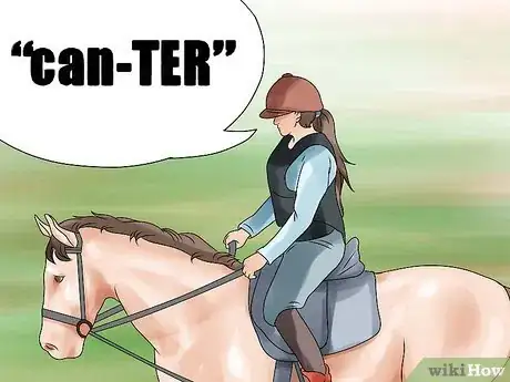 Image titled Canter With Your Horse Step 8