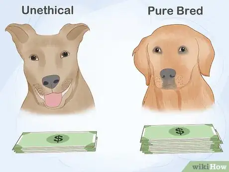 Image titled Report an Unethical Dog Breeder Step 12