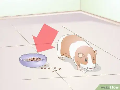 Image titled Diagnose Lumps in Guinea Pigs Step 5