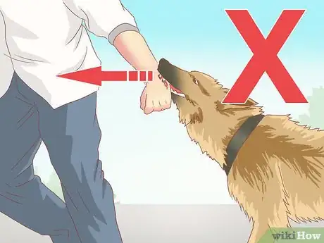 Image titled Stop a Dog Chase from Becoming an Attack Step 7