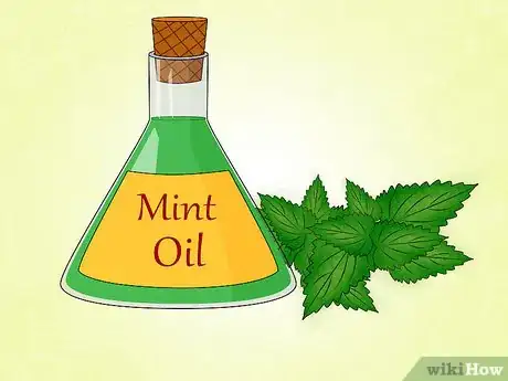 Image titled Make Natural Outdoor Fly Repellent with Essential Oils Step 11