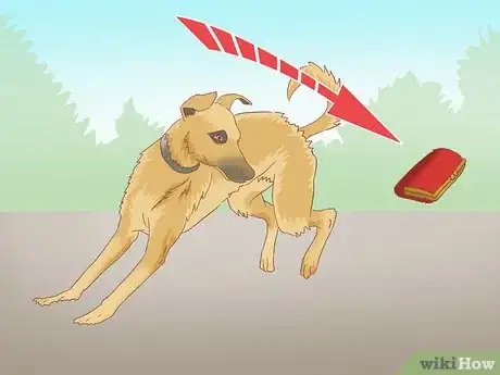 Image titled Stop a Dog Chase from Becoming an Attack Step 5