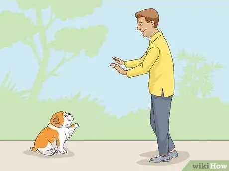 Image titled Get Your Dog Into a Commercial Step 2