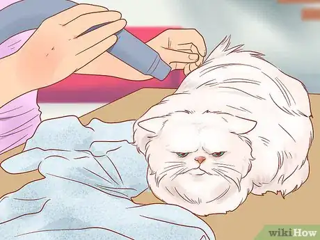 Image titled Groom a Persian Cat Step 24