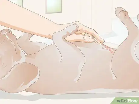 Image titled Get Rid of a Rash on a Dog Step 9