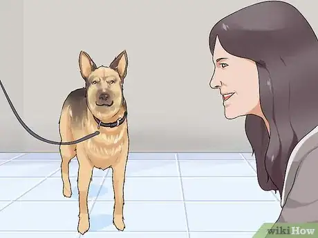 Image titled Introduce a New Dog to Visitors Step 13