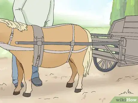 Image titled Keep a Miniature Horse Fit Step 14