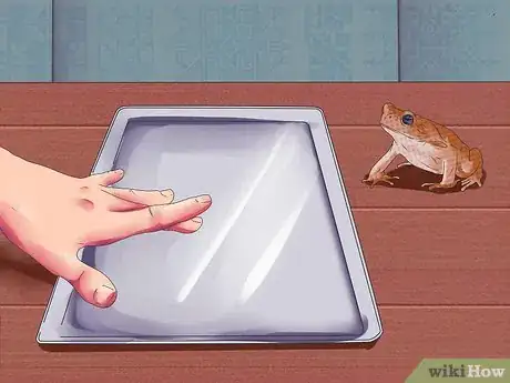 Image titled Dissect a Frog Step 1